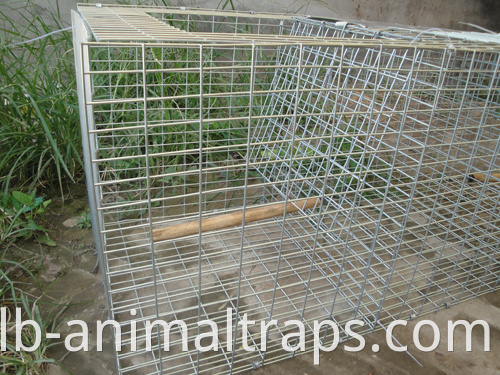 Levende dieren humane valkooi vangst en ratten muizen muizen knaagdieren kooi vrij